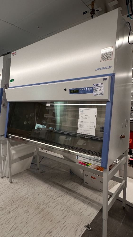 Image of Thermo Scientific 1300 Series A2 BSC- 6ft